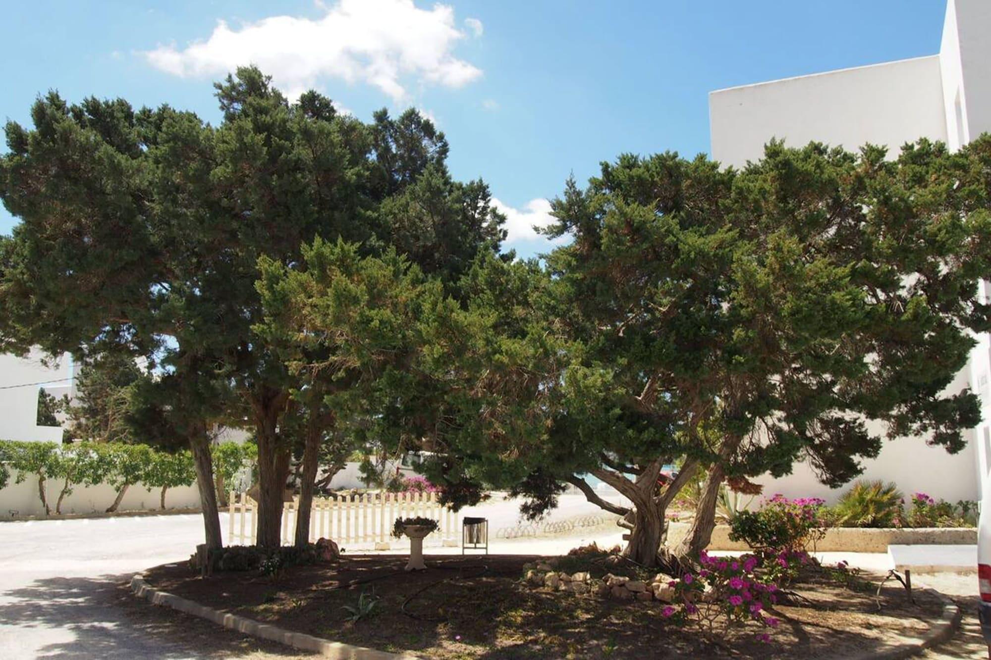 Hotel Lago Playa I Es Pujols Εξωτερικό φωτογραφία